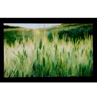 10.1&quot; LCM 1024×600RGB   350cd/m² LQ101W3LG01 Layar LCD TFT Tajam