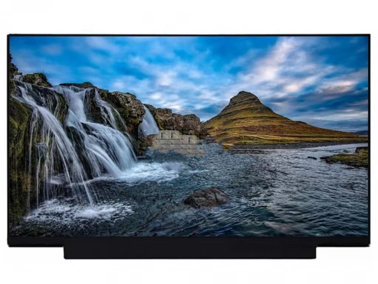 NT173WDM-N25 BOE 17.3&quot; 1600 ((RGB) × 900, HD+ 250 (cd/m2) Tampilan LCD INDUSTRIAL