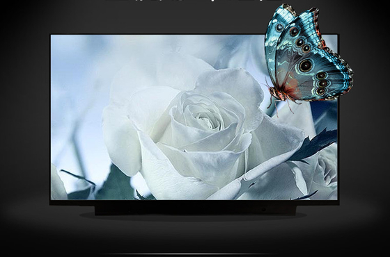 B133HAK02.2 AUO 13.3&quot; 1920 ((RGB) × 1080, 300 cd/m2 Tampilan LCD Industri