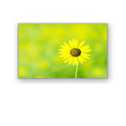 4.0" 320×240 4700cd/M2 Layar Lcd Industri HSD040I3N1-B00 HannStar